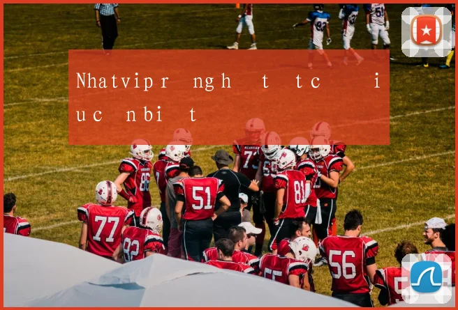 Nhatvip rồng hổ tất cả điều cần biết